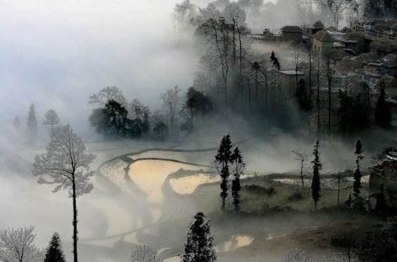 梦境的迷雾，探究昨晚吵架后的潜意识回响