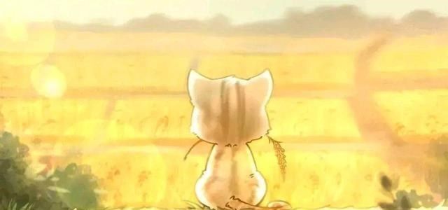 梦境中的哀思与慰藉，梦见爷爷奶奶的坟头有水