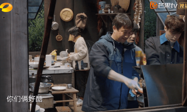 梦境解析，梦见白色温顺的猫对我说话——心灵的温柔对话与深层寓意的探索