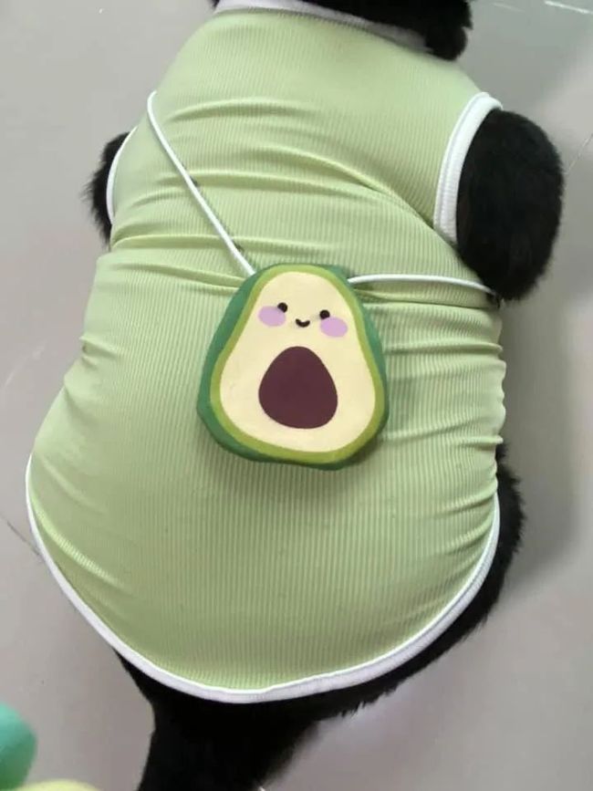 梦见戕妈妈穿一身红衣服，解读梦境中的情感与象征