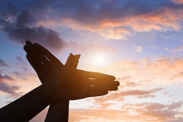 梦到杀蛇，一场自我超越与内心净化的神秘之旅