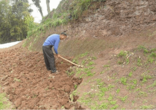 梦境的黄金之谜，解析梦见金黄色蛇的深层含义