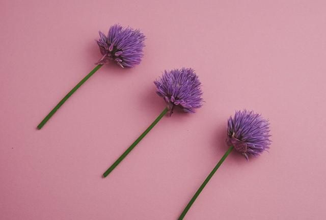 梦见老公当着我的面和别的女人搂搂抱抱的很亲密，梦境背后的深层含义与解析