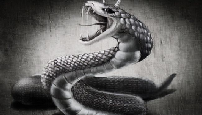 梦境中的勇者，我战胜了大蟒蛇