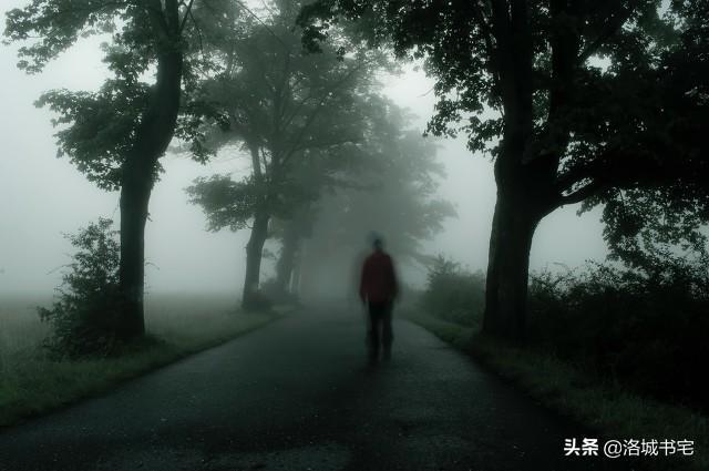梦见死去的亲人何解，探索梦境与心灵的深层对话