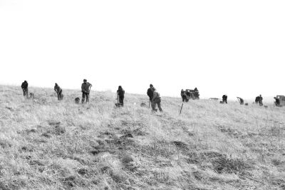 梦见棺材里装满清水，潜意识的启示与心灵深处的净化