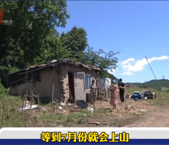 梦境解析，我梦到五条蛇在墙上围着自己加的房子转了几圈我在下面站着