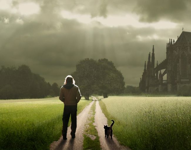 梦境的奇妙交织，我前天梦见自己竟成了朋友对象的孩子之母