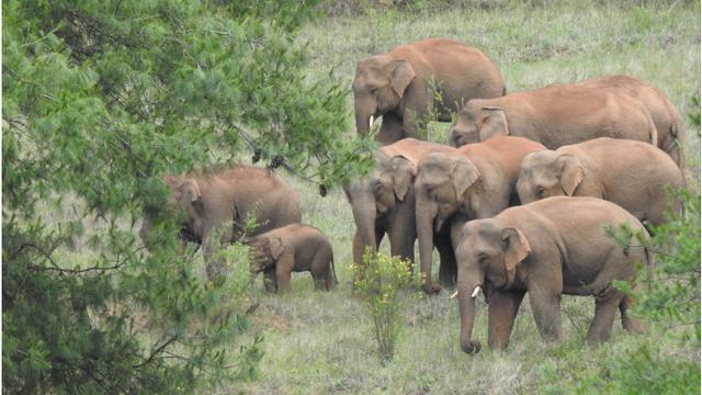 一路向南成就怎么做（魔兽世界一路向南成就）