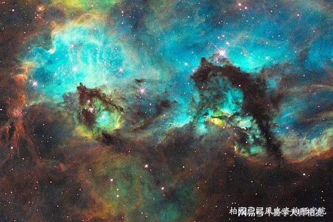 寅怎么读（寅怎么读拼音）