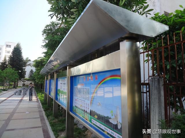 不填6填什么（不填6填什么图片）