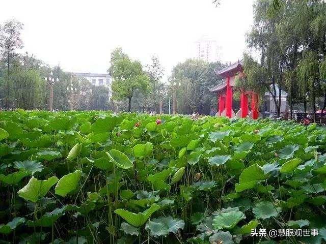 不填6填什么（不填6填什么图片）