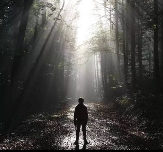 梦见死去的父亲开导自己，心灵的慰藉与生命的意义探索