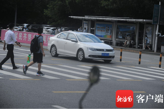 zebra是什么意思（zebra是什么意思中文）