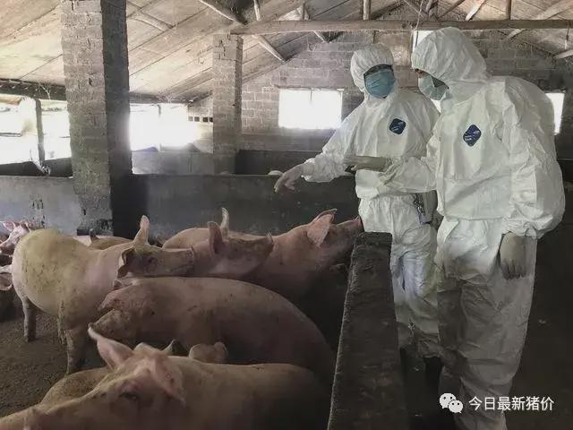 吃药过敏怎么办（吃药过敏怎么办才最有效）