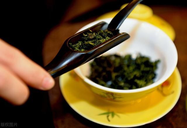 铁观音属于什么茶（铁观音属于什么茶种是红茶还是绿茶）