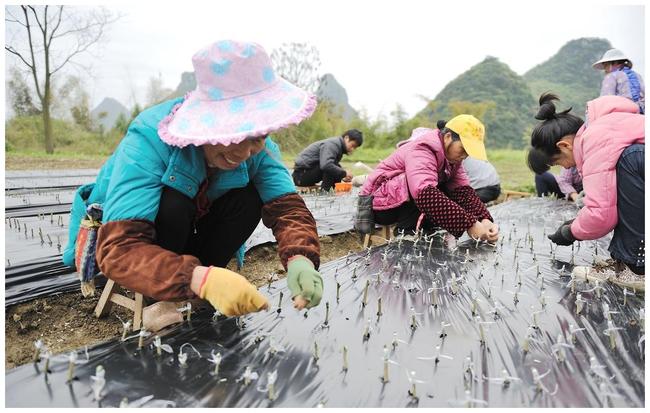 喜出望外的望是什么意思（喜出望外的望是什么意思）