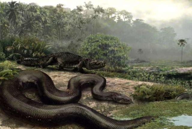 梦境探秘，为何梦中蛇影重重，最后竟现蟒蛇之影？