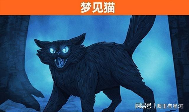 梦境迷踪，梦见猫——灵性伴侣还是未知预警？