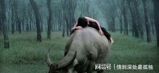 中年女人梦见蛇好不好？从梦境看生命转折的深层密码