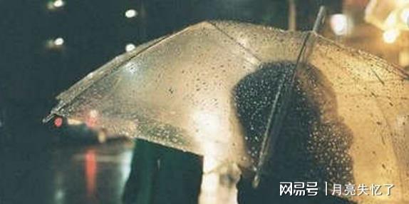 梦境中的慈悲，梦见捉住猫头鹰，却又不忍释放