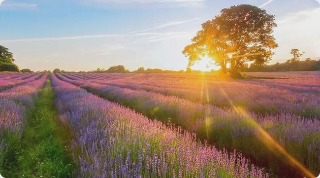 梦境中的静默对话，解读梦见已故母亲迎面而来的意义