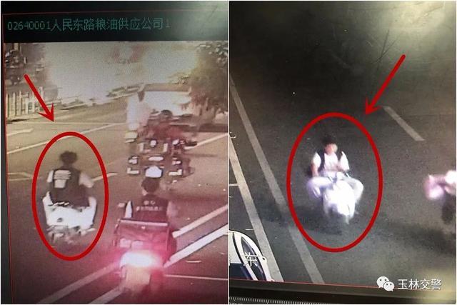 梦境密码，当群蛇涌动时，那条逃逸者在诉说什么？