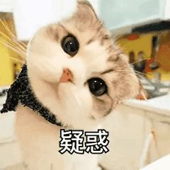 梦境解析，当猫的呼吸在耳畔低语——解读被猫勒紧身体的梦境寓意