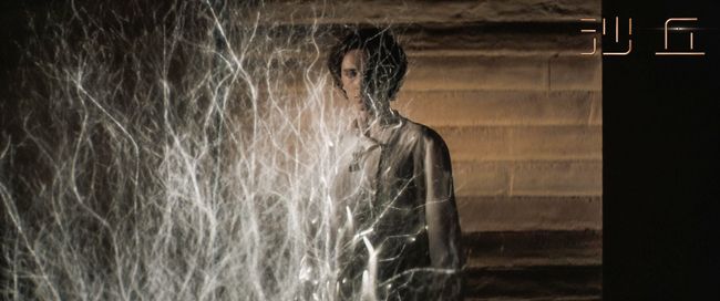 揭秘梦境之谜，男人梦中绿梳脱落的深层含义