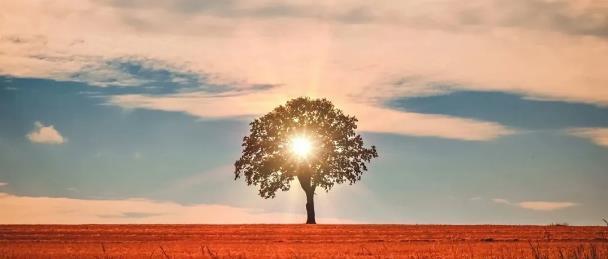 梦境解析，梦见已故孩童追逐的深层含义与心理暗示