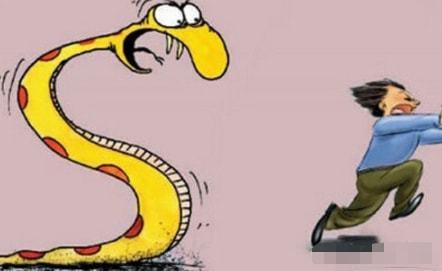 清明晨梦，青色小蛇的寓言与心灵启示