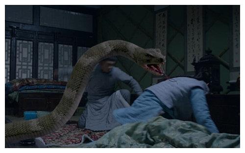 晚上做梦梦到蛇还打跑了，这是什么意思？