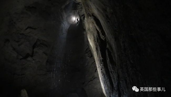 梦境中的蛇影，探索潜意识中的恐惧与自我超越