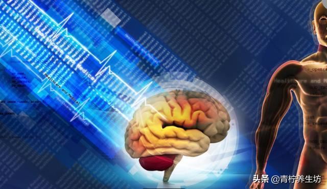 梦到蛇，潜意识的隐喻与心灵深处的启示