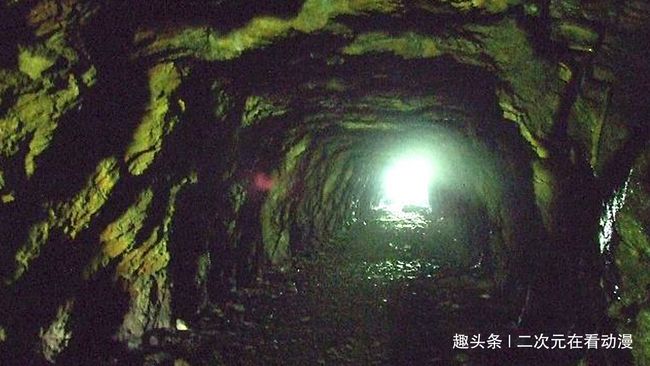 梦到自己养蛇，探索潜意识中的神秘信号