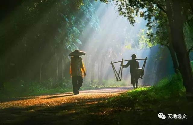 梦见已故父亲，探寻梦境背后的深层含义与情感共鸣