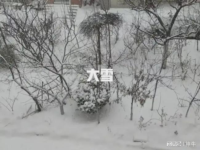 解梦迷思，梦见下大雪与亲人离世的关联探析