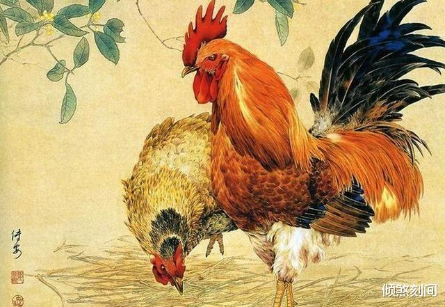 做梦梦见鸡杀死了还会起来走路，解读梦境中的深层含义