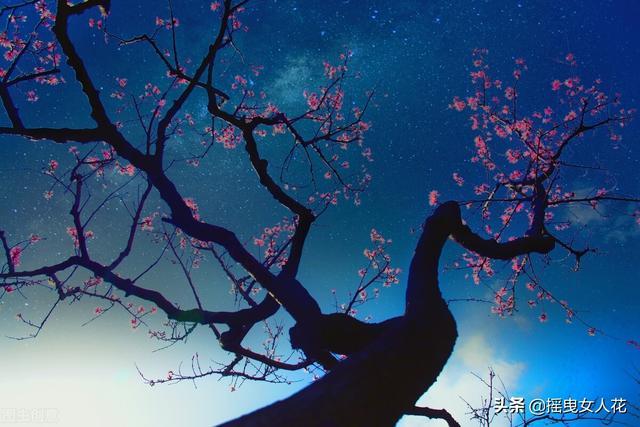 梦见死去的亲人，探寻梦境背后的深层含义与情感寄托