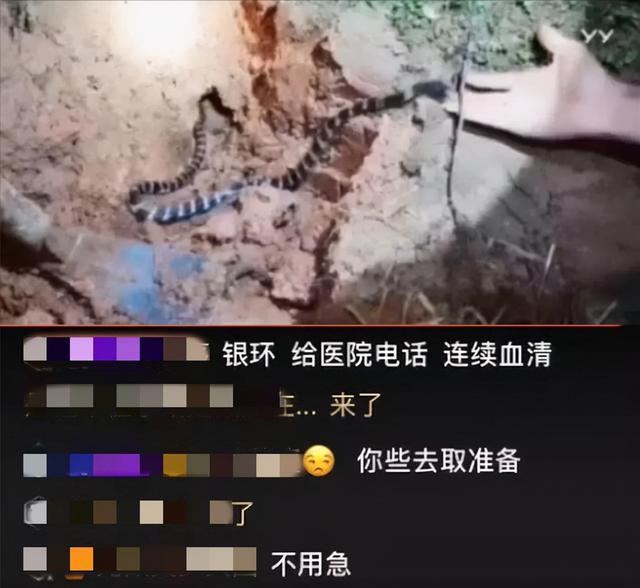女人梦到蛇，解梦之旅的神秘启示
