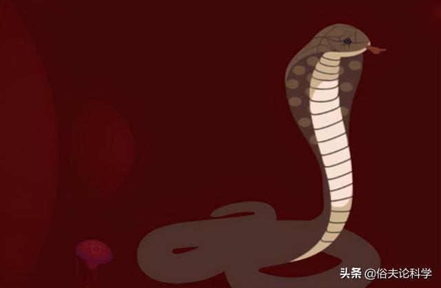 梦境迷踪，解析梦见蛇追我还咬了我一口的深层含义