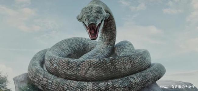 男人梦见两条大蛇和两条小蛇，梦境背后的深层含义与解析