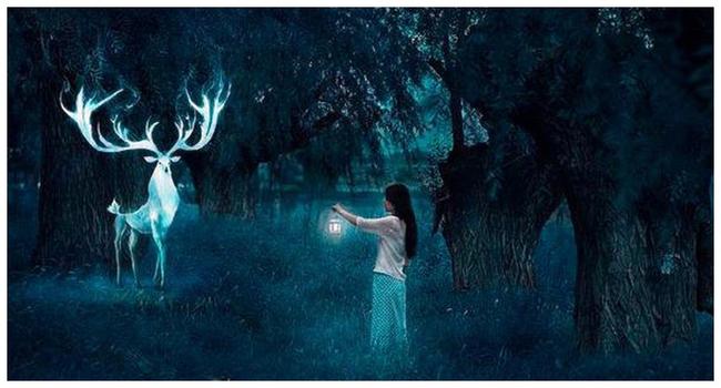 梦境解析，梦见老婆被绳子绑住双手的深层含义与心理暗示