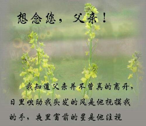 梦见我喜欢的人死了我在他坟墓前伤心求解梦