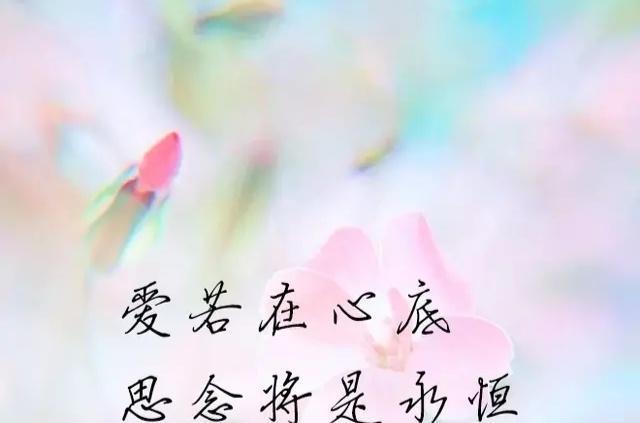 梦回彼岸，梦到已过世的亲人——心灵的慰藉与未竟的牵挂