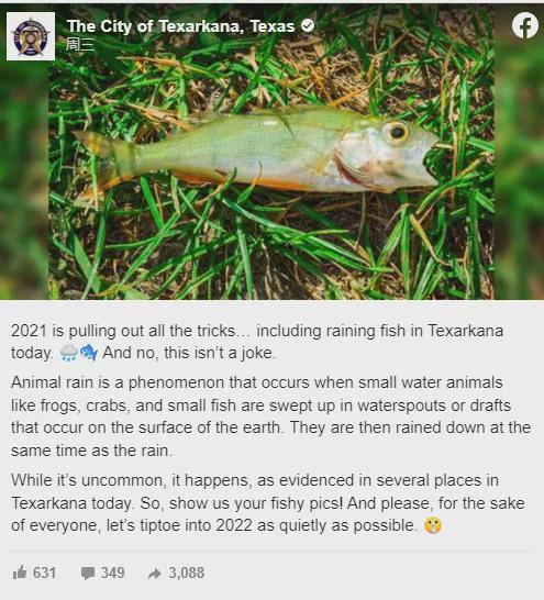 梦境奇遇，银白色鱼自屋顶跃入，寓意何在？