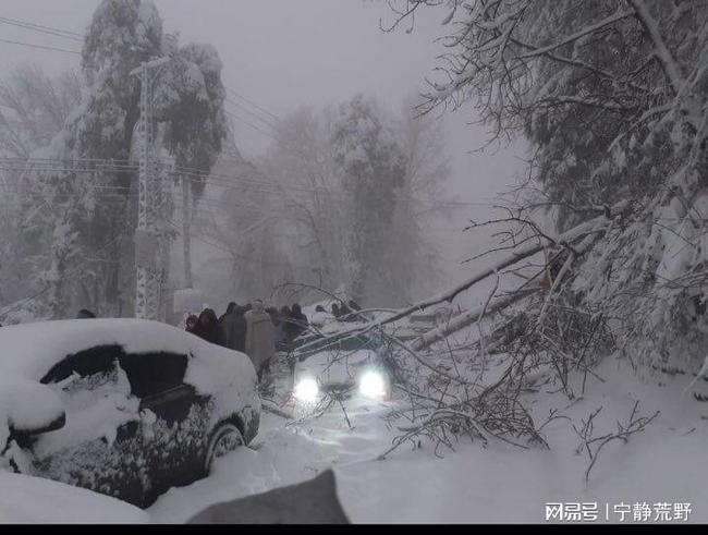 雪落梦境，女人梦见下大雪的深层寓意与心理解析