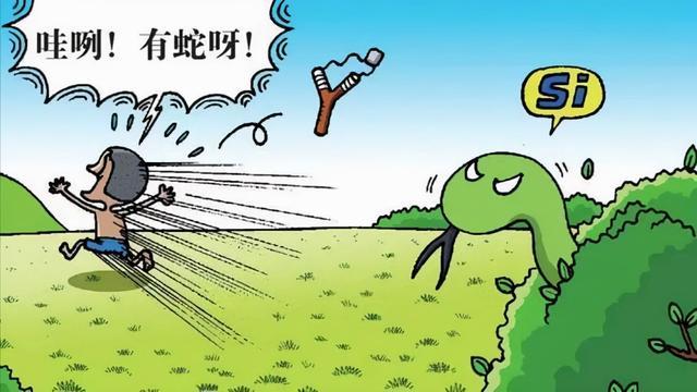 做梦梦到手里抓着三条蛇，潜意识深处的警示与启示