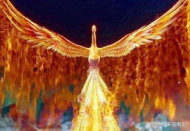 梦境解析，凤凰涅槃，生命之舞的启示