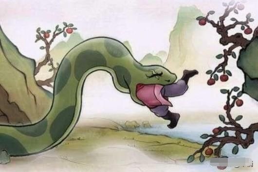 梦见别人打死蛇，解读梦境背后的深层含义与心理启示